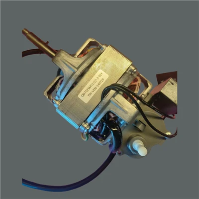 JEDNOFÁZOVÝ ASYNCHRONÓZNY MOTOR