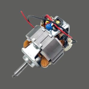 Motor odšťavovača ovocia