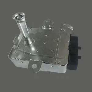 Roaster Motor