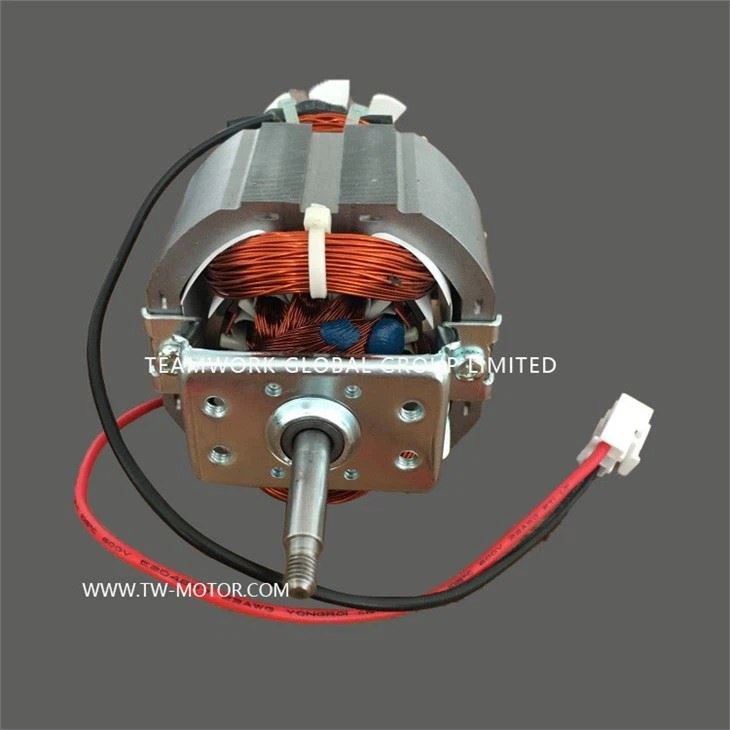 Home Coffee Mill Motor