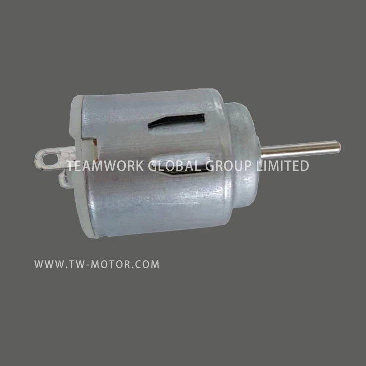 Small DC Motor