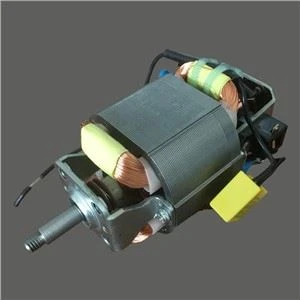 Motor malého mixéra 220V.