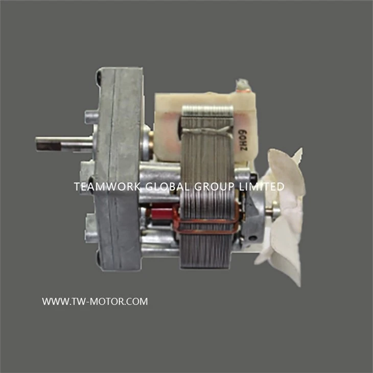 Electric Oven Asynchronous Motor