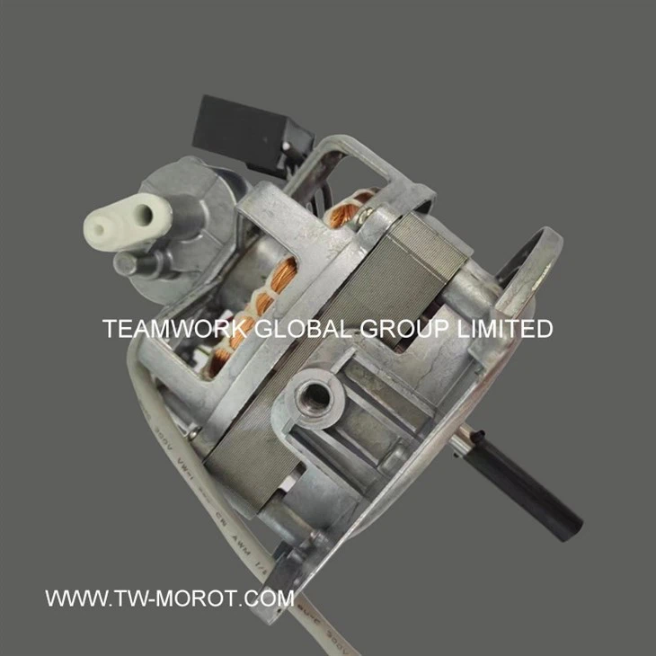 Household Ceiling Fan Motor