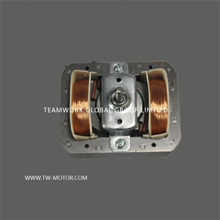 Mic-oven Motor