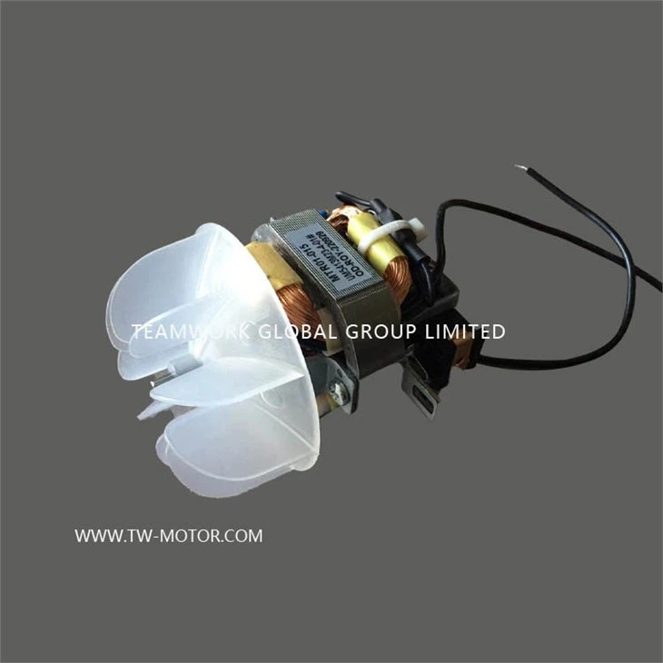 Universal Motor For Hair Dryer